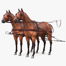 Pair of Breast Collar Harness 3D